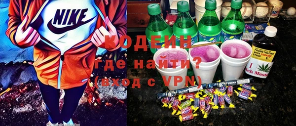 шишки Арсеньев