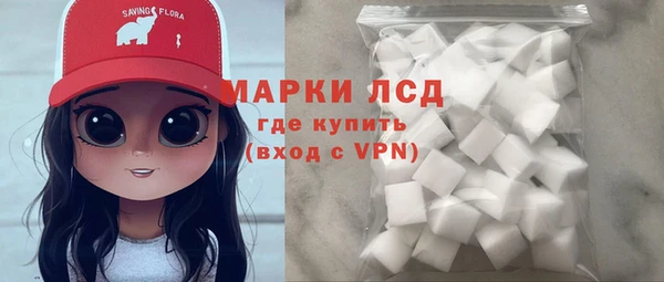 шишки Арсеньев