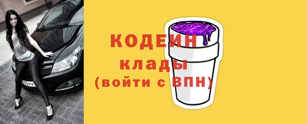 шишки Арсеньев