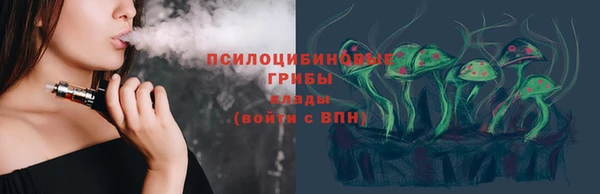 шишки Арсеньев