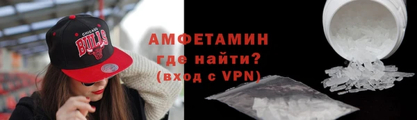 шишки Арсеньев