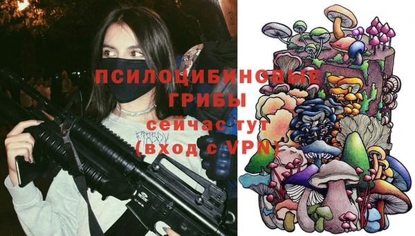 кокс Аркадак