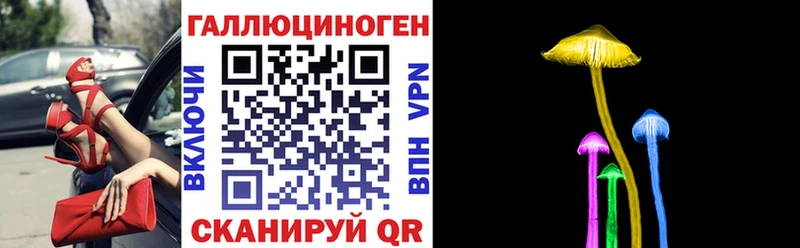 Купить где  Судогда  Псилоцибиновые грибы Magic Shrooms 