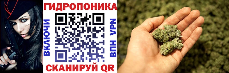 Конопля MAZAR  Купить закладки  Судогда 